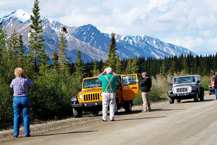 Denali Highway Jeep Excursion