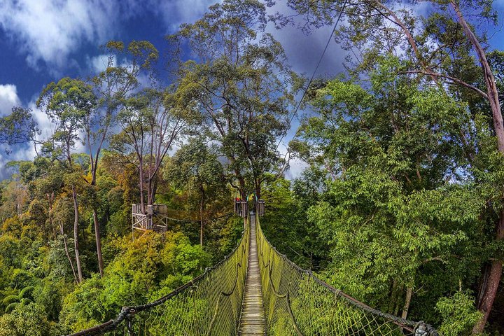 Borneo Tropical Rainforest Tour