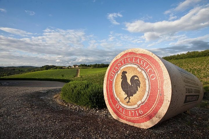 Small-Group Wine Tasting Experience in the Tuscan Countryside