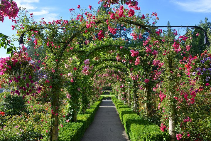 Victoria & Butchart Gardens Tour with Ferry from Vancouver