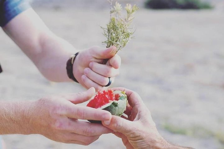 Santorini Family Farm Food & Wine Tour with Cooking Class