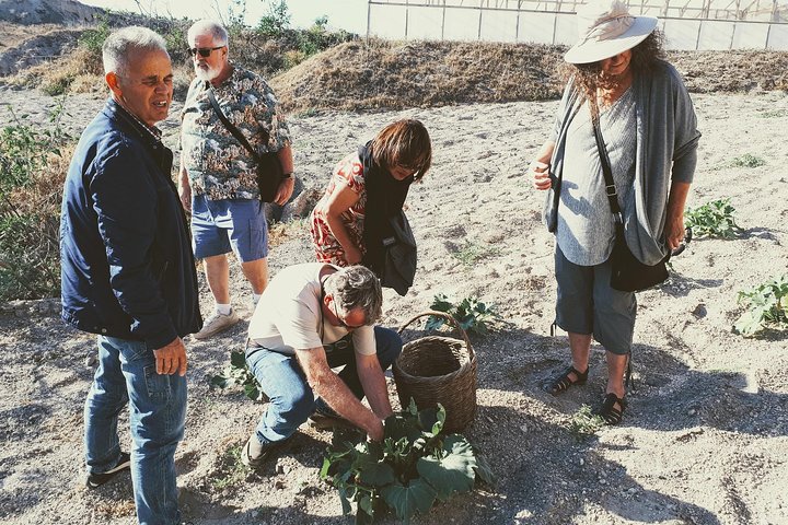 Santorini Family Farm Food & Wine Tour with Cooking Class