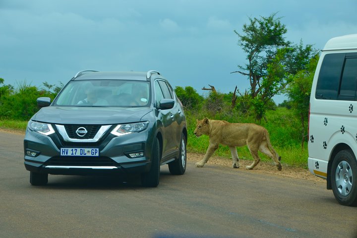 All Inclusive 2 Day Kruger Safari from Johannesburg