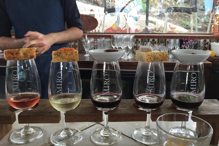 PREMIUM WINE tasting = Waiheke Island Wine Tours MAX 11 clients !
