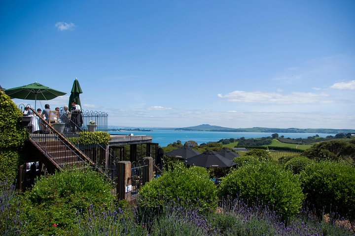 PREMIUM WINE tasting = Waiheke Island Wine Tours MAX 11 clients !
