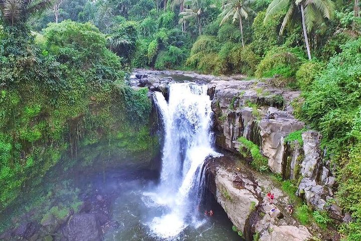 Ubud: Monkey Forest, Jungle Swing, Rice Terrace and Water Temple