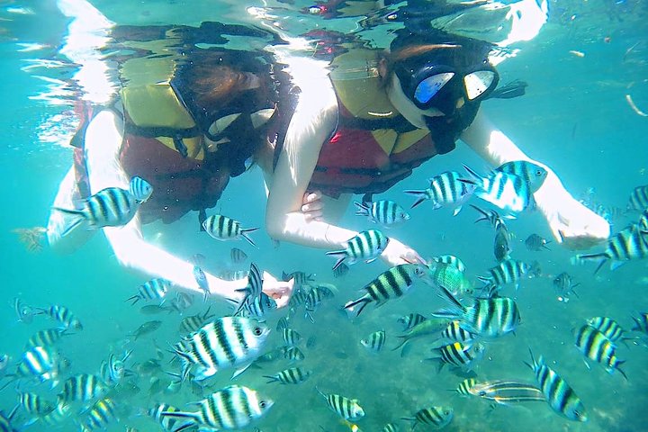 Bintan Snorkeling Tour