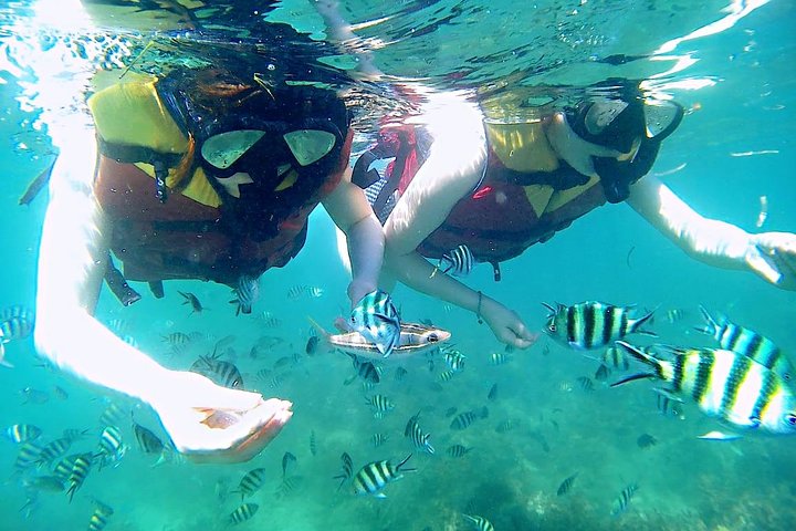 Bintan Snorkeling Tour