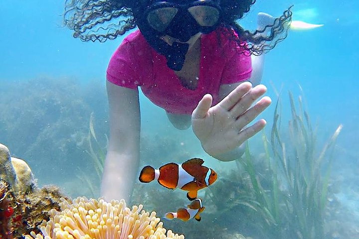 Bintan Snorkeling Tour