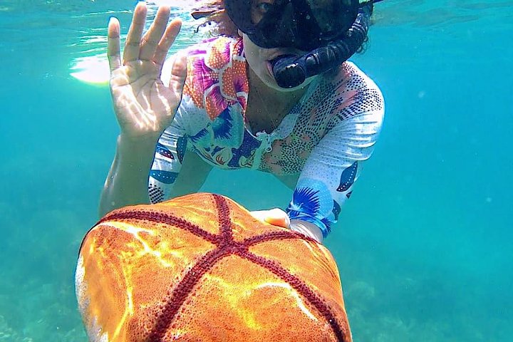 Bintan Snorkeling Tour