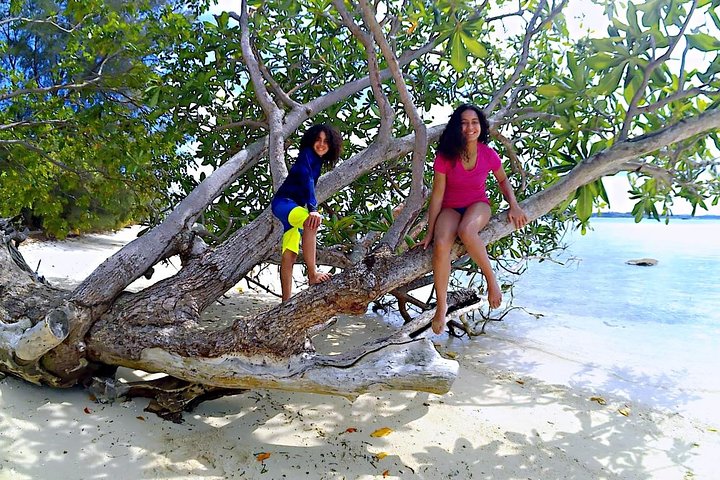 Bintan Snorkeling Tour