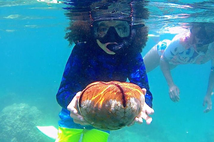 Bintan Snorkeling Tour