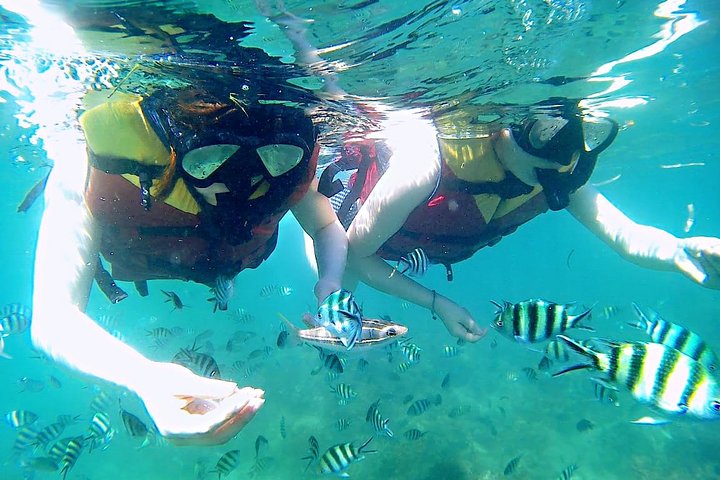 Bintan Snorkeling Tour