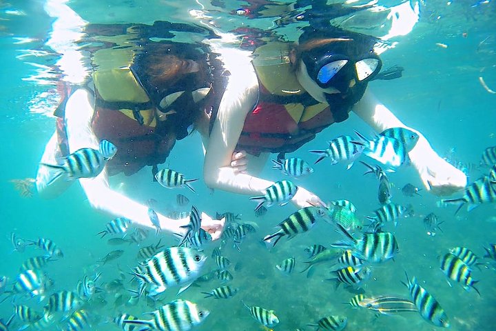 Bintan Snorkeling Tour