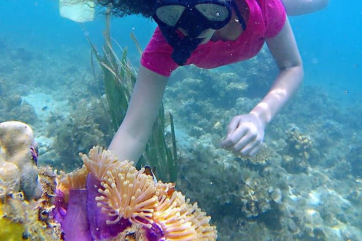 Bintan Snorkeling Tour