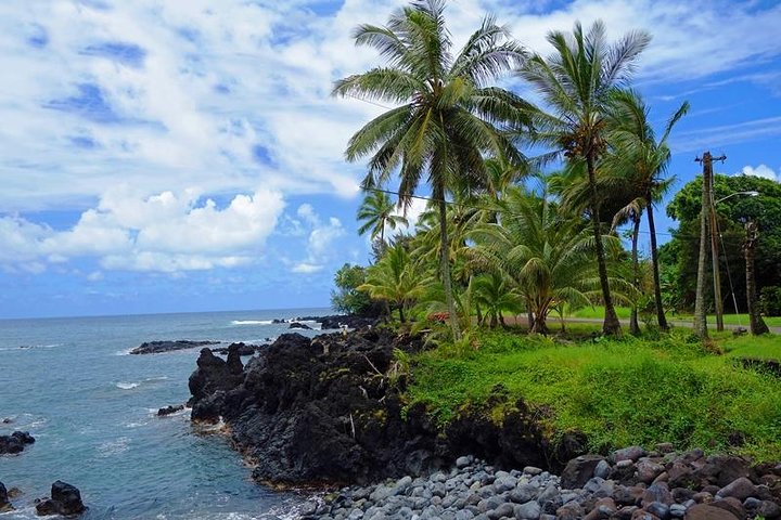 Maui: Famous Road to Hana Waterfalls and Lunch by Mercedes Van