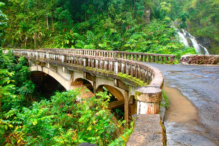 Maui: Famous Road to Hana Waterfalls and Lunch by Mercedes Van