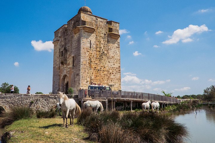 3.5 Hour Camargue 4x4 Safari from Le Grau-du Roi