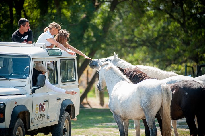 3.5 Hour Camargue 4x4 Safari from Le Grau-du Roi