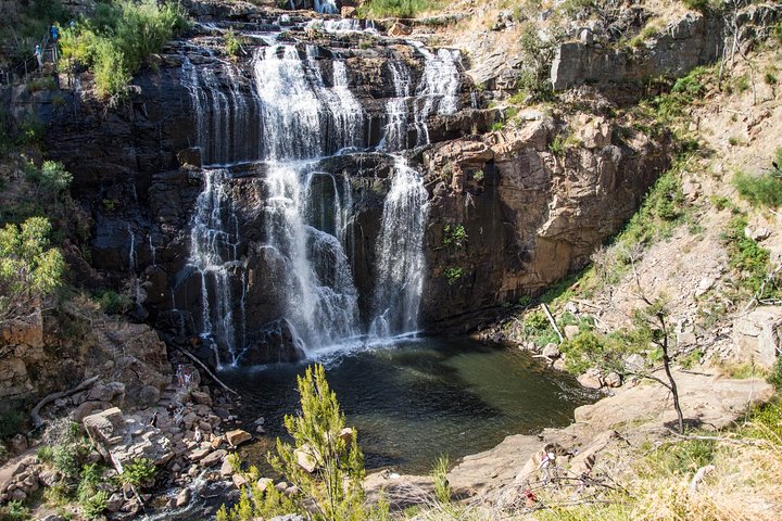 Small-Group Grampians Great Wildlife Escape Day Trip with Hiking