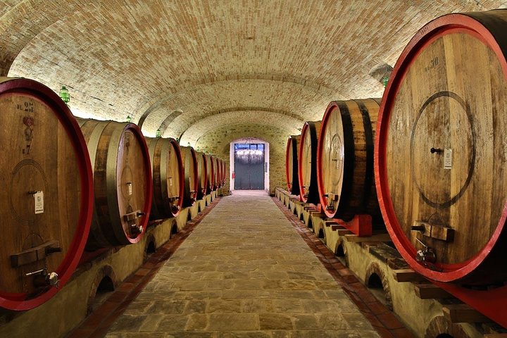 SMALL-GROUP Wine Safaris: Tuscany Wine Tasting Tour from Florence
