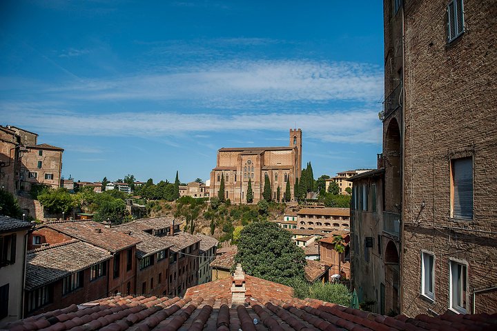 Tuscany Day Trip from Florence: Siena, San Gimignano, Pisa and Lunch at a Winery