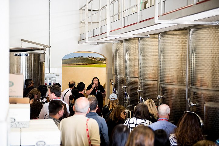 Tuscany Day Trip from Florence: Siena, San Gimignano, Pisa and Lunch at a Winery