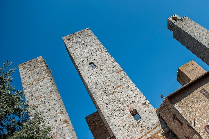 Tuscany Day Trip from Florence: Siena, San Gimignano, Pisa and Lunch at a Winery