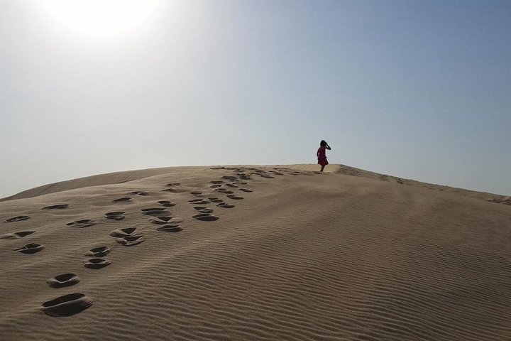 Desert safari, Dune bashing, sandboarding, camel, ATV Option