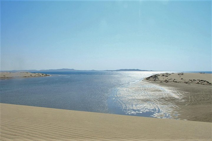 Desert safari, Dune bashing, sandboarding, camel, ATV Option