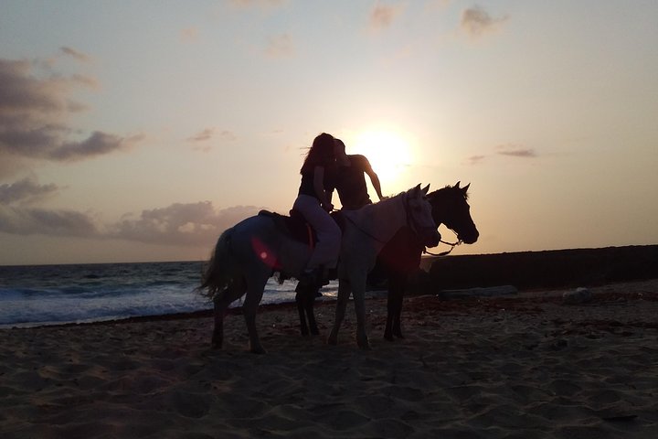 Aruba Ecological & Coastline Horseback Ride with Beach Photo Stop