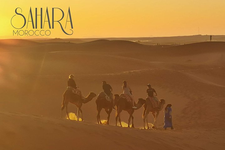 1 Night All inclusive Camel Ride & Desert Camp