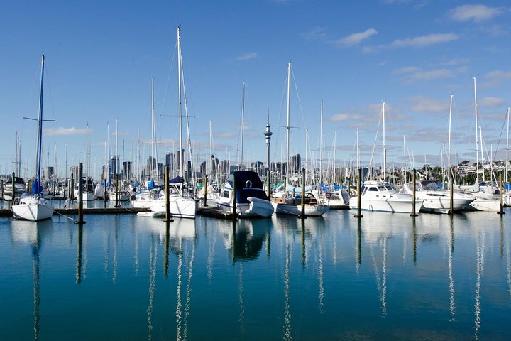 Half-day Discover Auckland City Sightseeing Tour