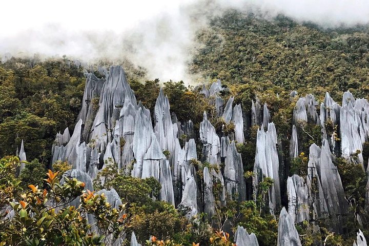 4 Days 3 Nights Mulu 4 Showcaves with Pinnacles