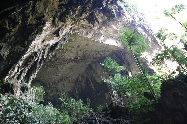 4 Days 3 Nights Mulu 4 Showcaves with Pinnacles