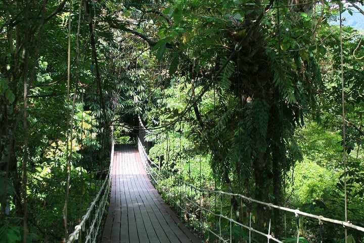 4 Days 3 Nights Mulu 4 Showcaves with Pinnacles