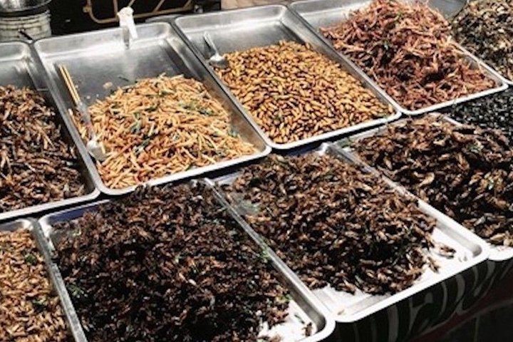 Monks Morning Almsgiving Tour – Traditional Food Offering