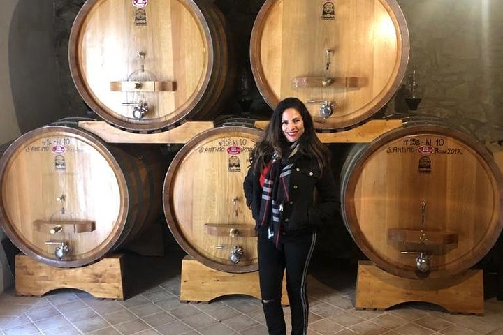 Brunello and Montepulciano Wine Tour from Cortona