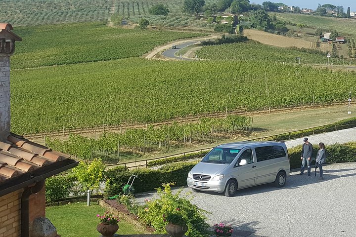 Brunello and Montepulciano Wine Tour from Cortona