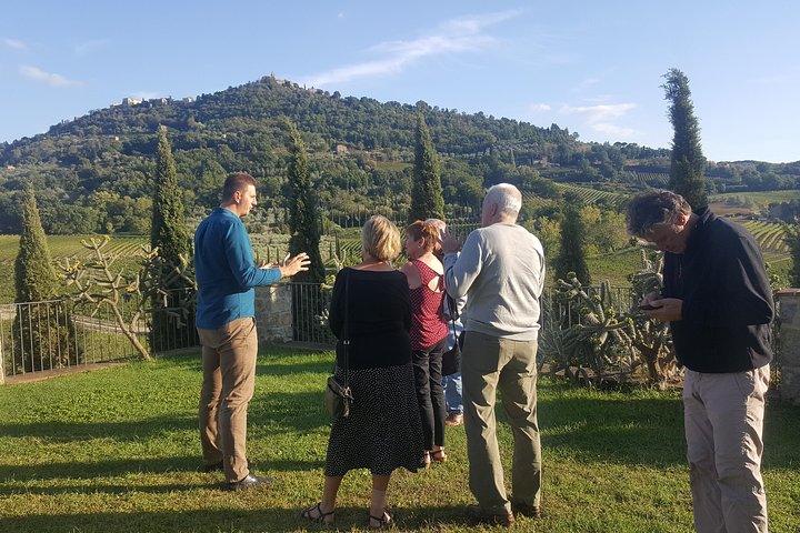 Brunello and Montepulciano Wine Tour from Cortona