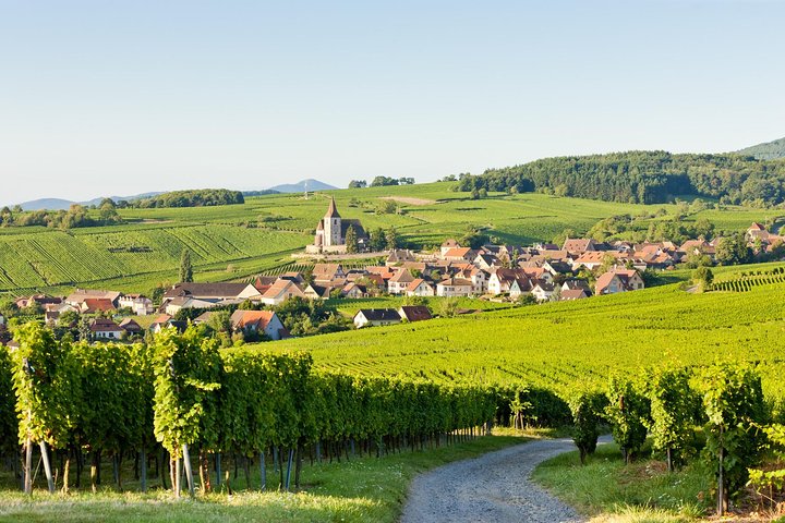 Colmar, Medieval Village & Castle Small Group from Strasbourg