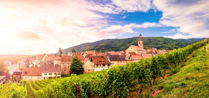 Colmar, Medieval Village & Castle Small Group from Strasbourg