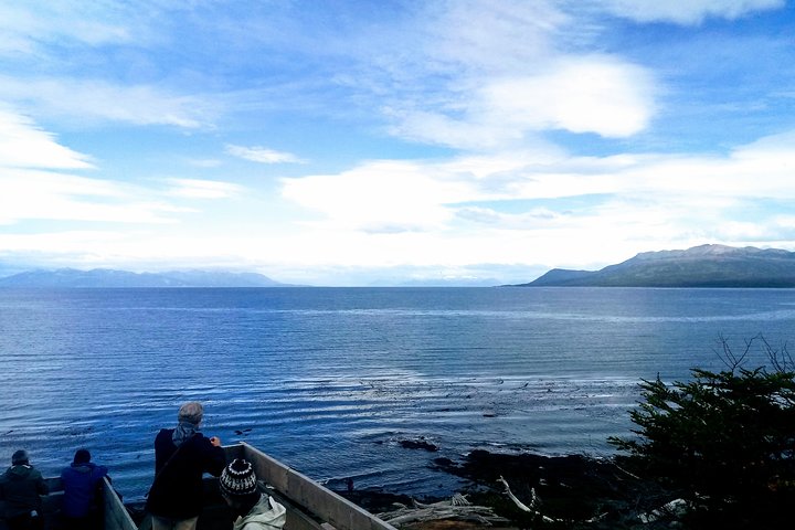 Punta Arenas Signature Shore Experience