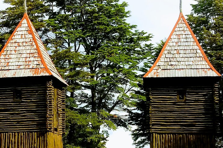 Punta Arenas Signature Shore Experience
