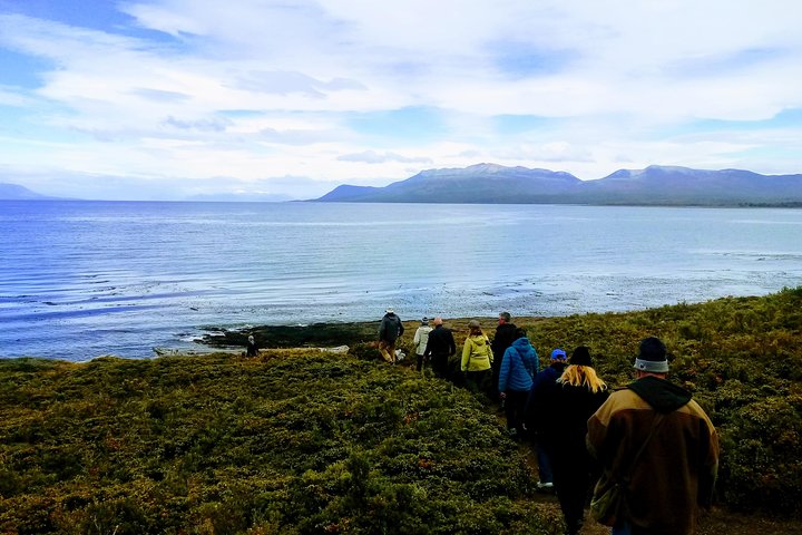 Punta Arenas Signature Shore Experience