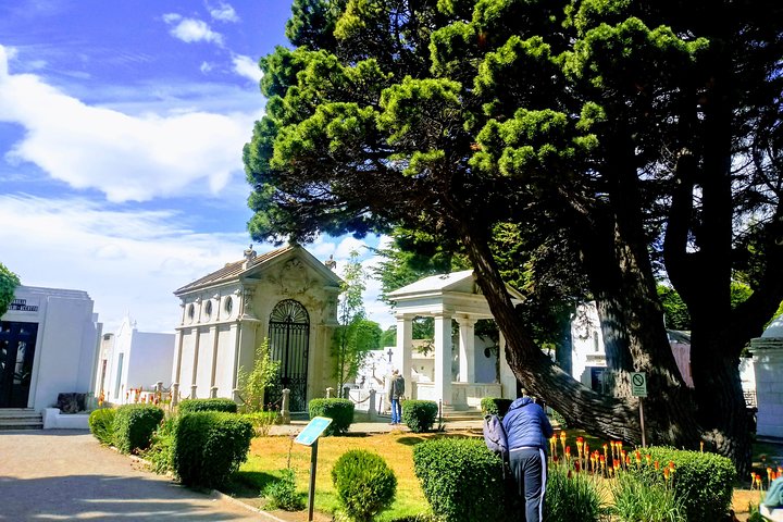 Punta Arenas Signature Shore Experience