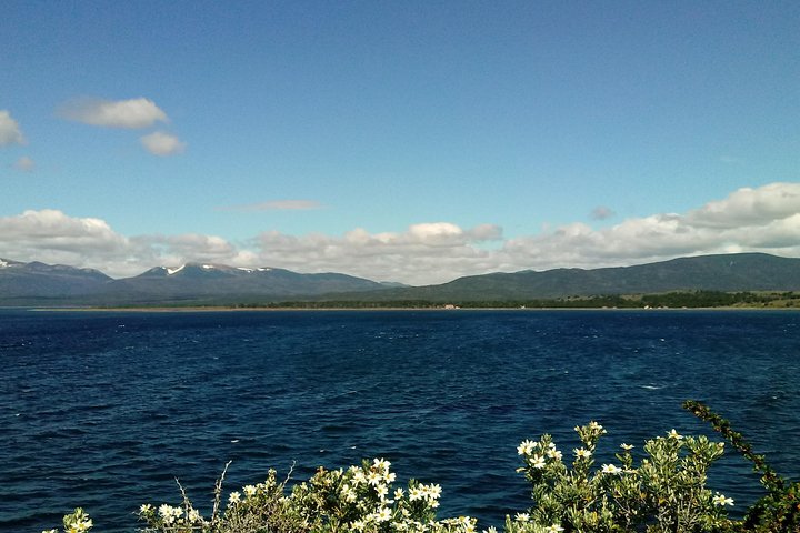 Punta Arenas Signature Shore Experience