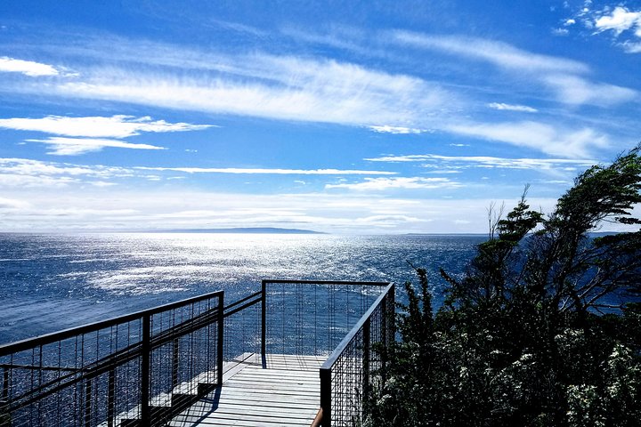 Punta Arenas Signature Shore Experience