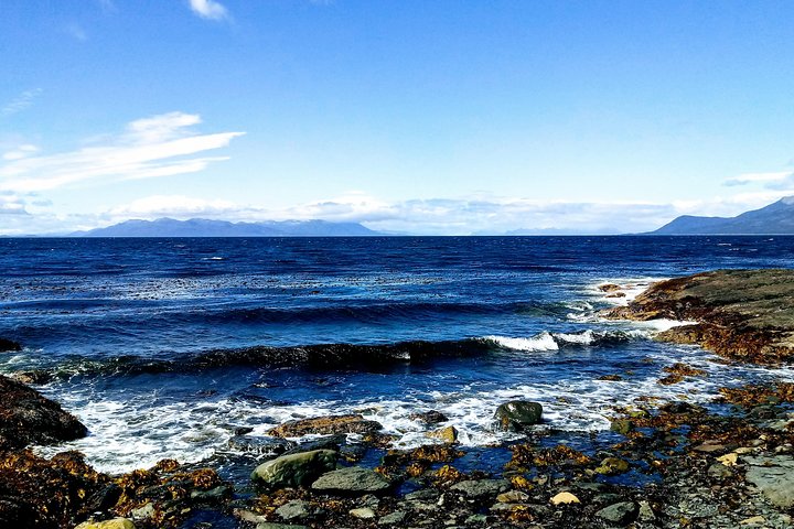 Punta Arenas Signature Shore Experience