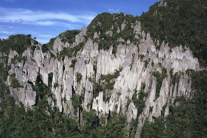 5 Days 4 Nights Mulu Showcaves with Headhunter Trails